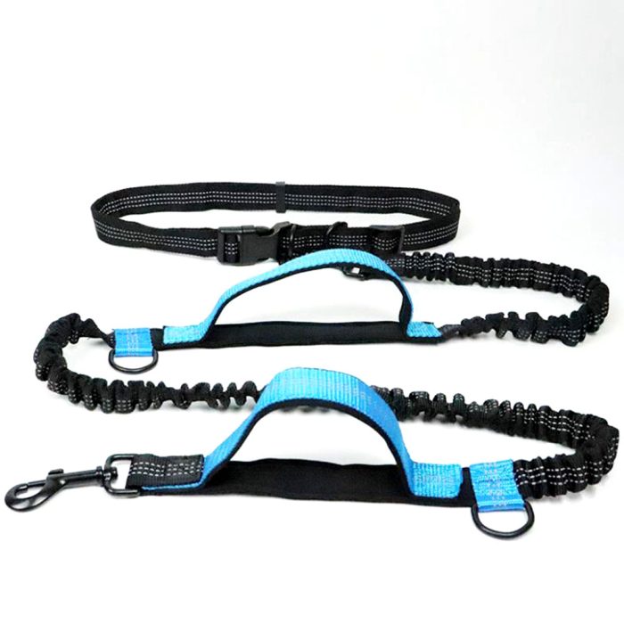 Bungee Dog leashes