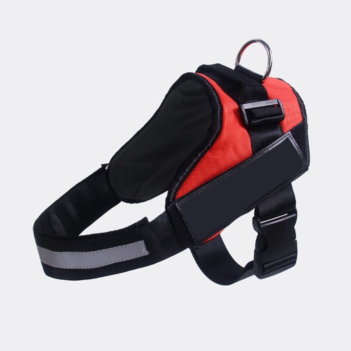 orange dog harness